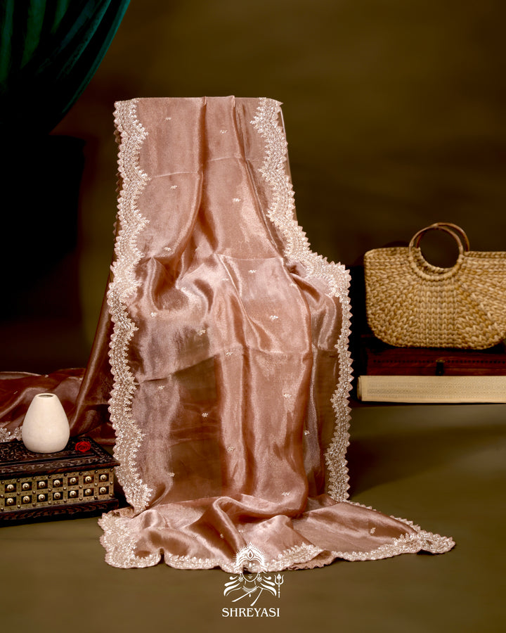 Tissue Silk Saree with Scallop Hand Embroidered Borders and Petit Point Embroidered Blouse