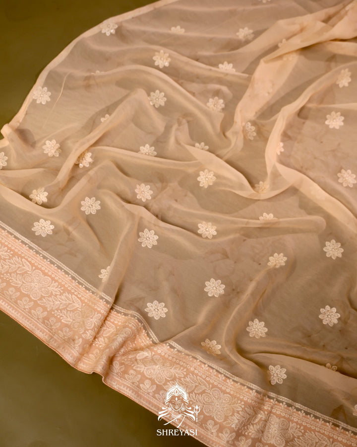 Georgette Floral Saree with Chikankari Embroidery