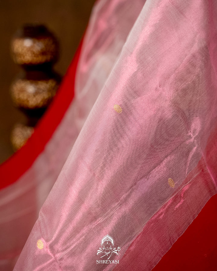 Handloom Pure Chanderi Tissue Silk Saree with Paithani Muniya Border