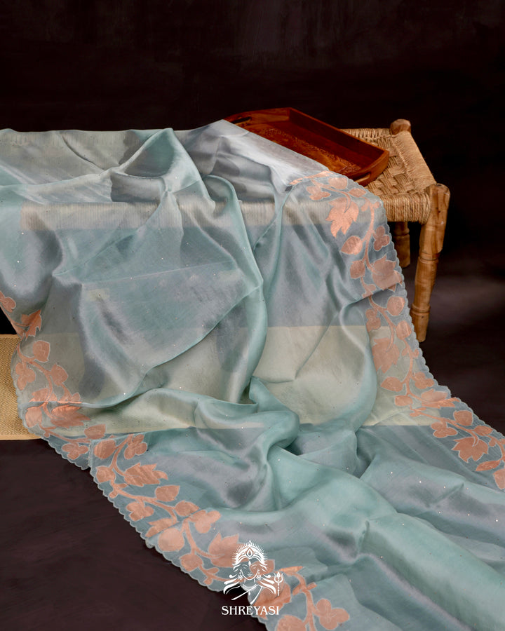 Organza Silk Saree with Appliqué Work and Embroidered Blouse
