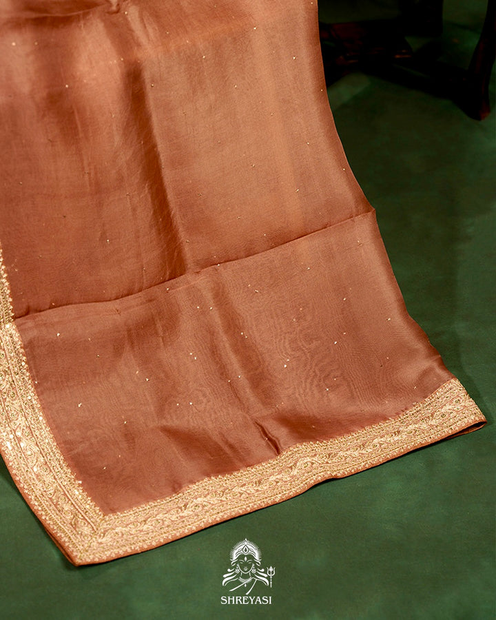Pure Organza Silk Saree with Embroidered Border and Velvet Blouse