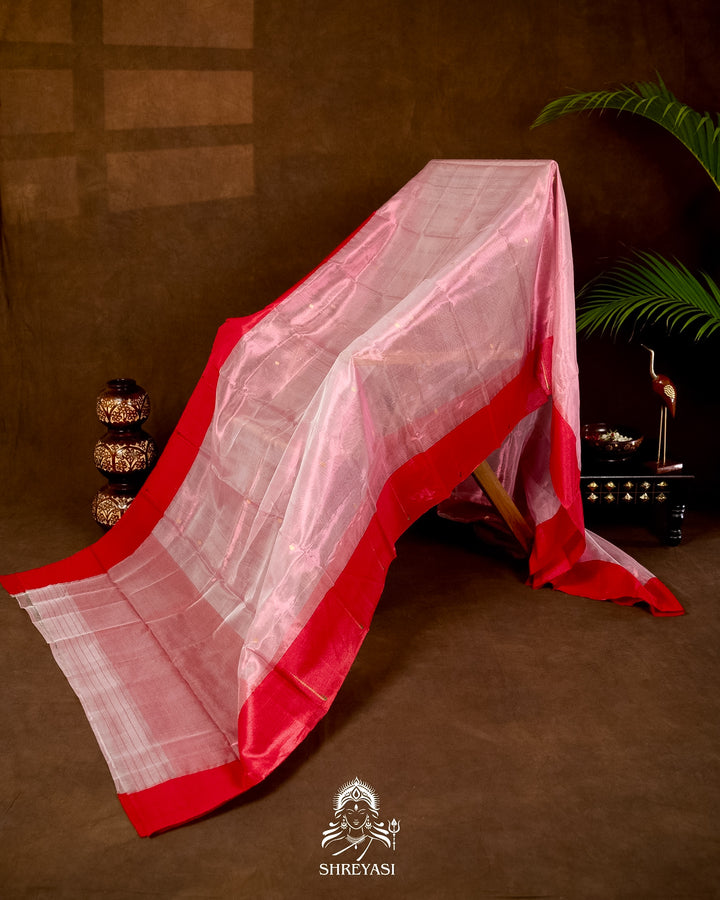 Handloom Pure Chanderi Tissue Silk Saree with Paithani Muniya Border