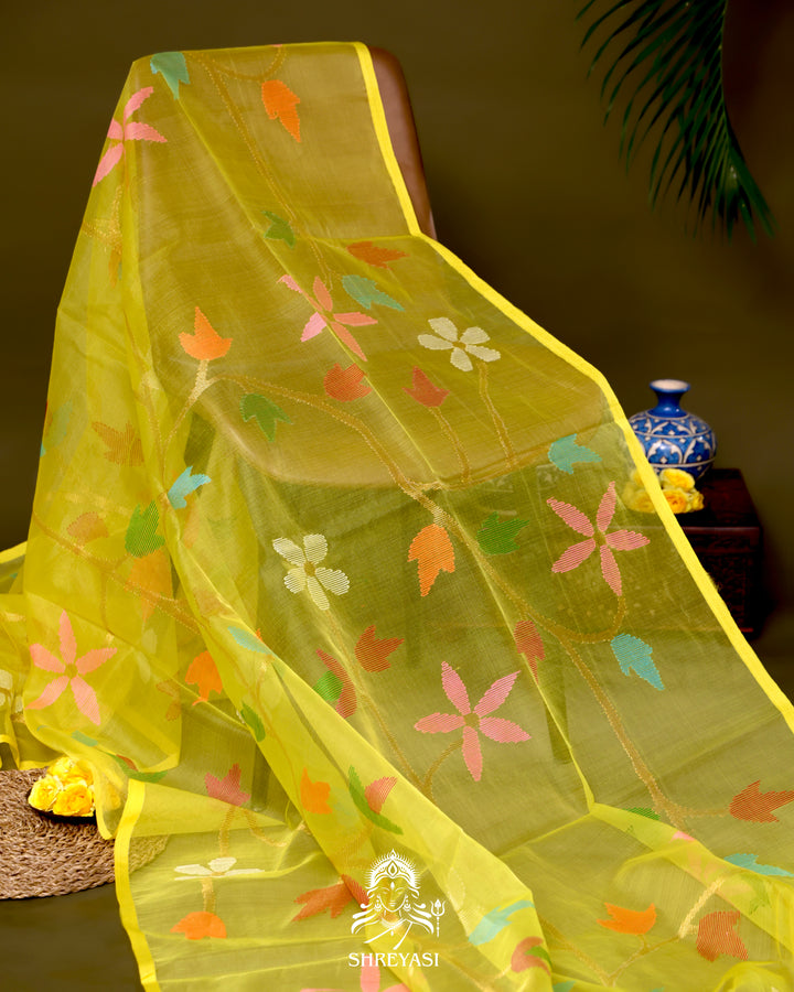 Handloom Pure Muslin Jamdani Saree in Full Jaal Needle Weaving