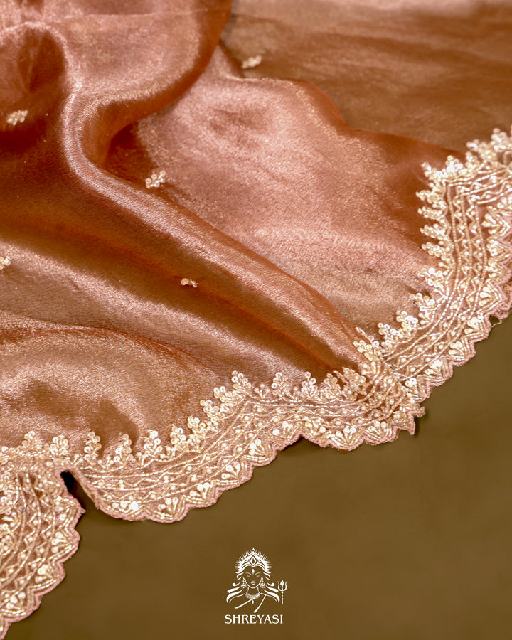 Tissue Silk Saree with Scallop Hand Embroidered Borders and Petit Point Embroidered Blouse