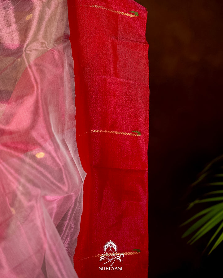 Handloom Pure Chanderi Tissue Silk Saree with Paithani Muniya Border
