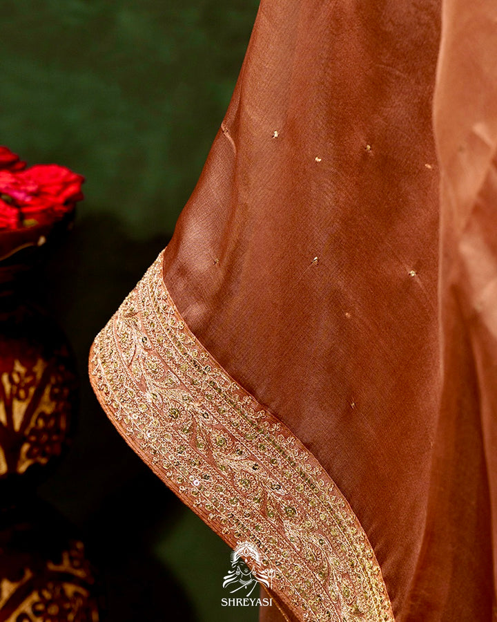 Pure Organza Silk Saree with Embroidered Border and Velvet Blouse