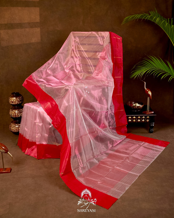 Handloom Pure Chanderi Tissue Silk Saree with Paithani Muniya Border