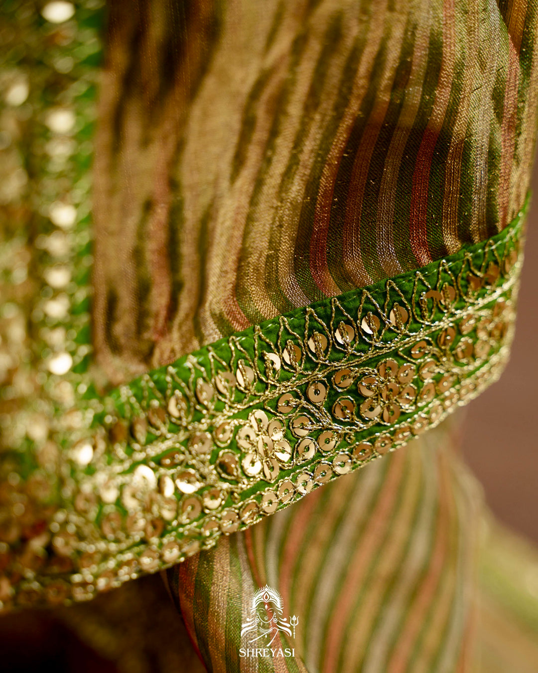Banarasi Tissue Silk Saree with Embroidered Borders & Petit Point Embroidered Velvet Blouse