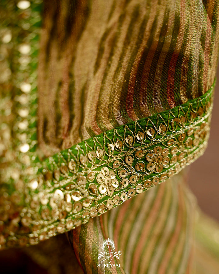 Banarasi Tissue Silk Saree with Embroidered Borders & Petit Point Embroidered Velvet Blouse