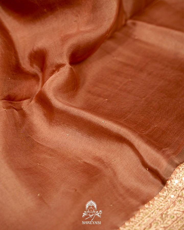 Pure Organza Silk Saree with Embroidered Border and Velvet Blouse