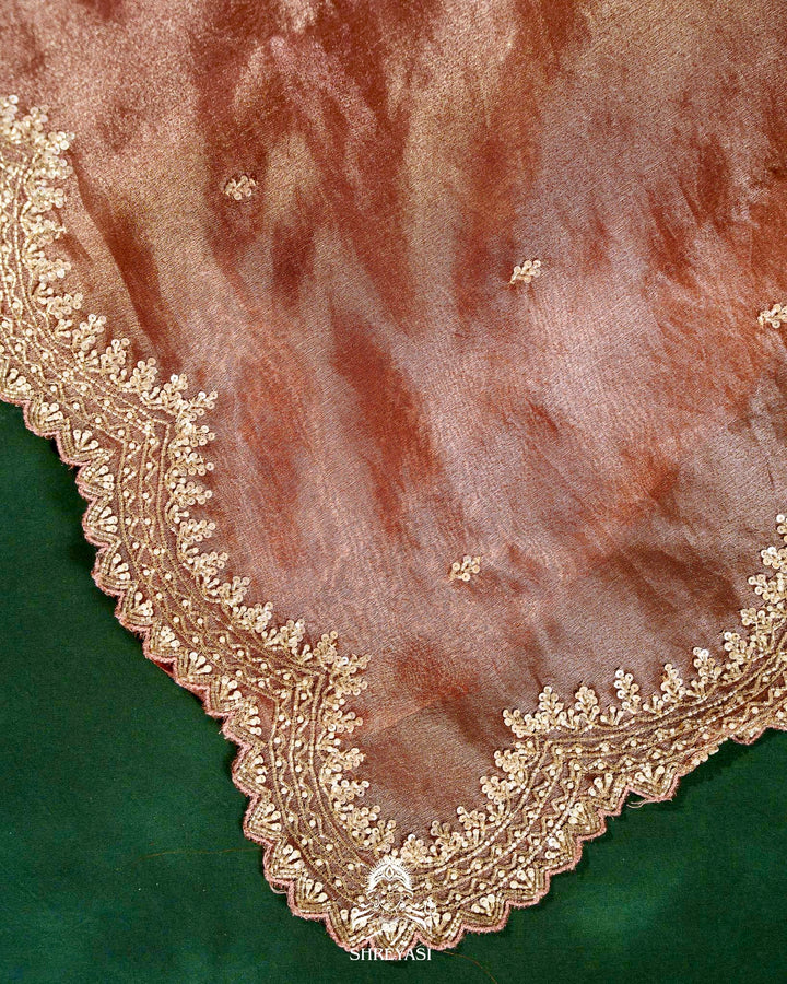 Handloom Pure Banarasi Tissue Silk Saree with Scallop Hand Embroidered Borders and Petit Point Embroidered Blouse