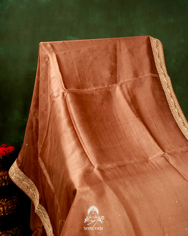 Pure Organza Silk Saree with Embroidered Border and Velvet Blouse