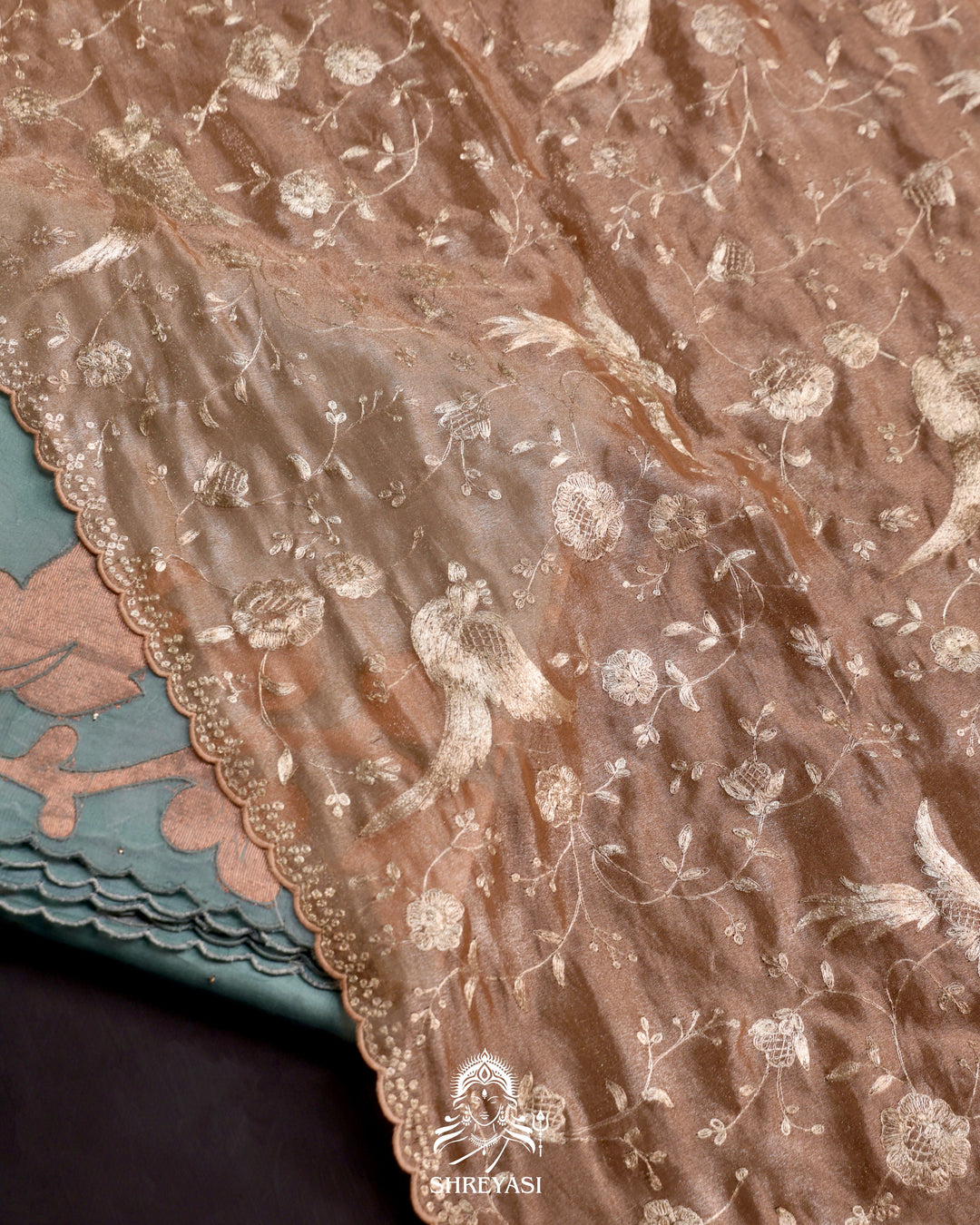 Organza Silk Saree with Appliqué Work and Embroidered Blouse