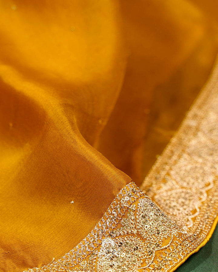 Pure Organza Silk Saree with Embellished Borders and Patola Print Silk Blouse