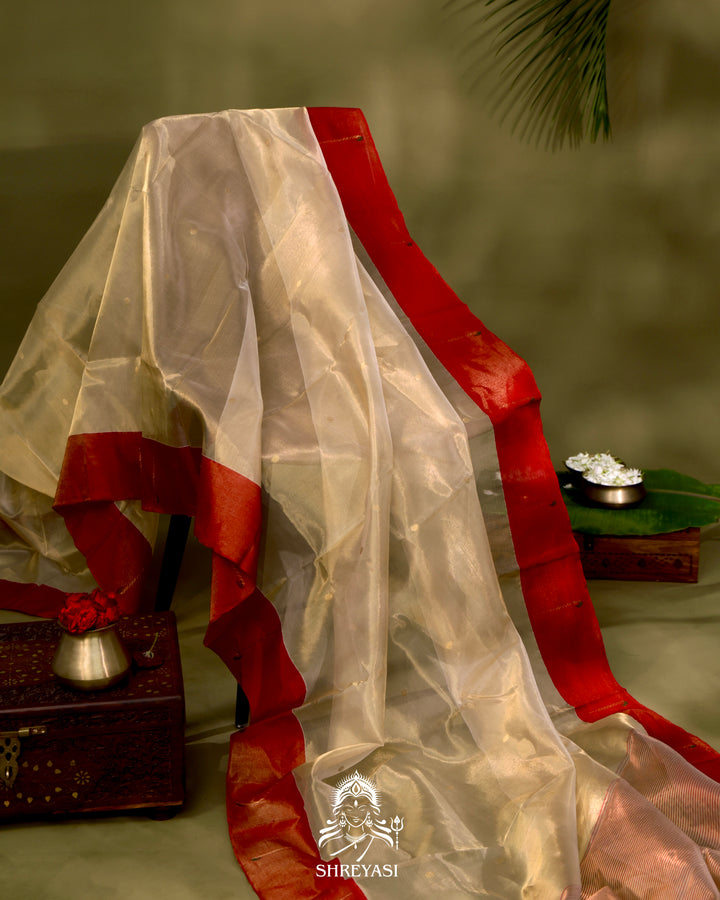 Handloom Chanderi Tissue Silk Saree with Paithani Muniya Border