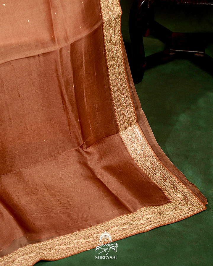 Pure Organza Silk Saree with Embroidered Border and Velvet Blouse