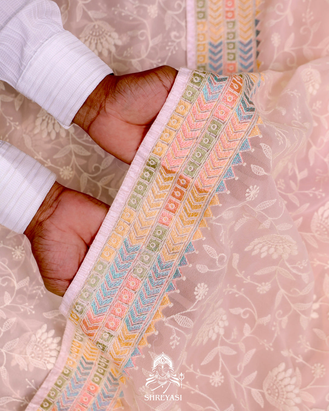 Georgette Saree with Chikankari Inspired Embroidery