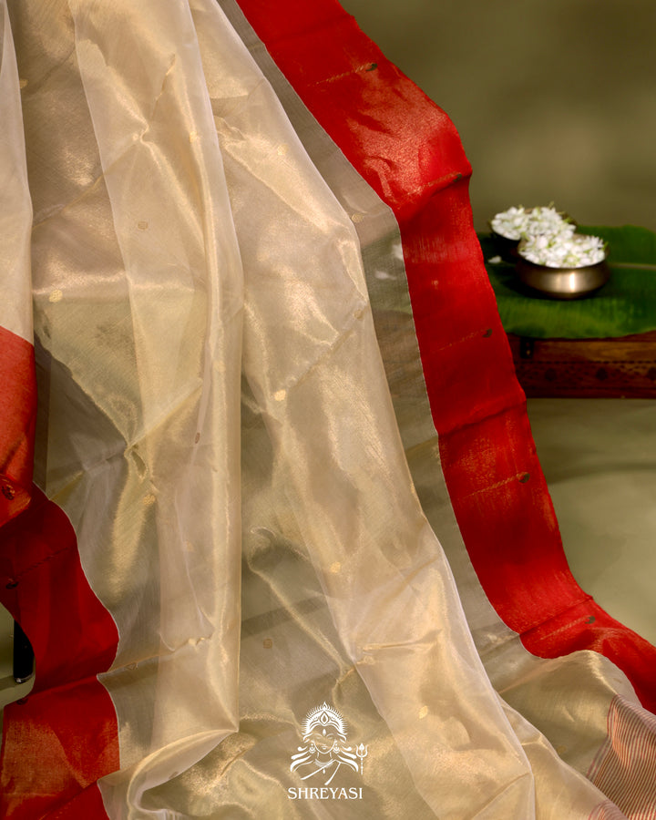 Handloom Chanderi Tissue Silk Saree with Paithani Muniya Border