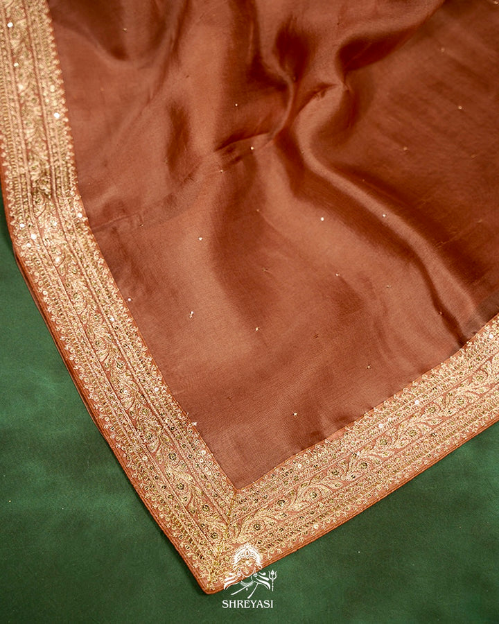 Pure Organza Silk Saree with Embroidered Border and Velvet Blouse