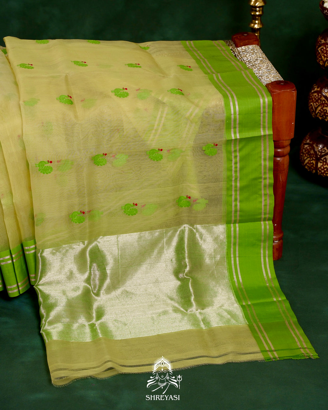 Handloom Pure Chanderi Silk Saree with Hand Embroidered Maggam Work Blouse