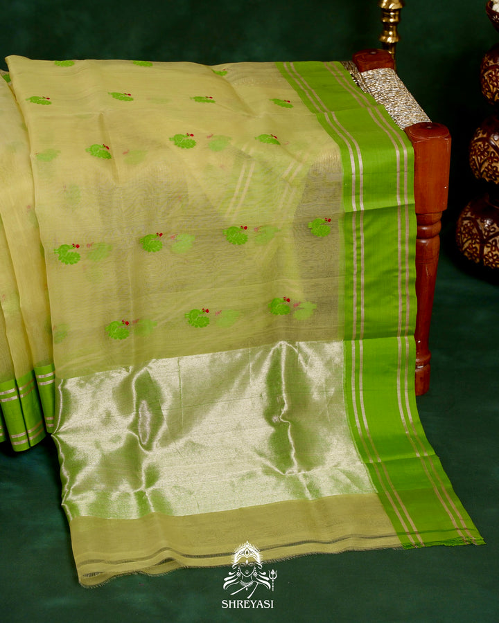 Handloom Pure Chanderi Silk Saree with Hand Embroidered Maggam Work Blouse