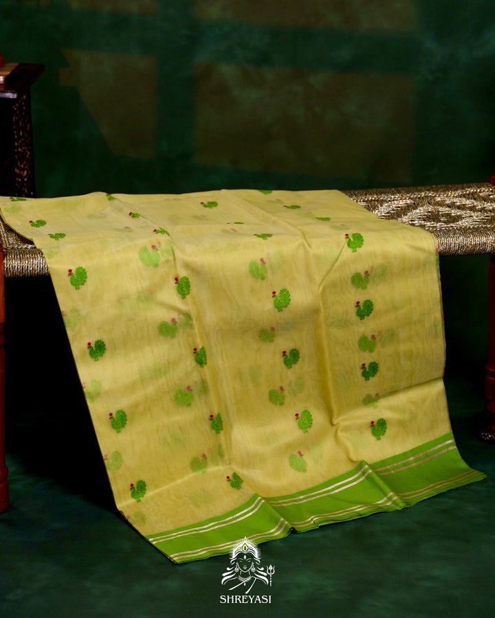 Handloom Pure Chanderi Silk Saree with Hand Embroidered Maggam Work Blouse