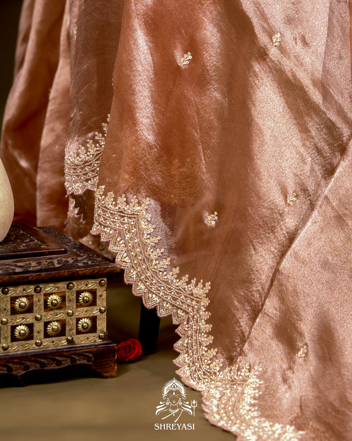 Tissue Silk Saree with Scallop Hand Embroidered Borders and Petit Point Embroidered Blouse