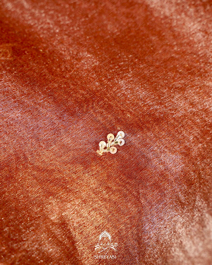 Handloom Pure Banarasi Tissue Silk Saree with Scallop Hand Embroidered Borders and Petit Point Embroidered Blouse