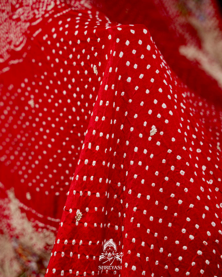 Handloom Pure Gaji Silk Bandhej Saree with Floral Embroidery in Scarlet Red